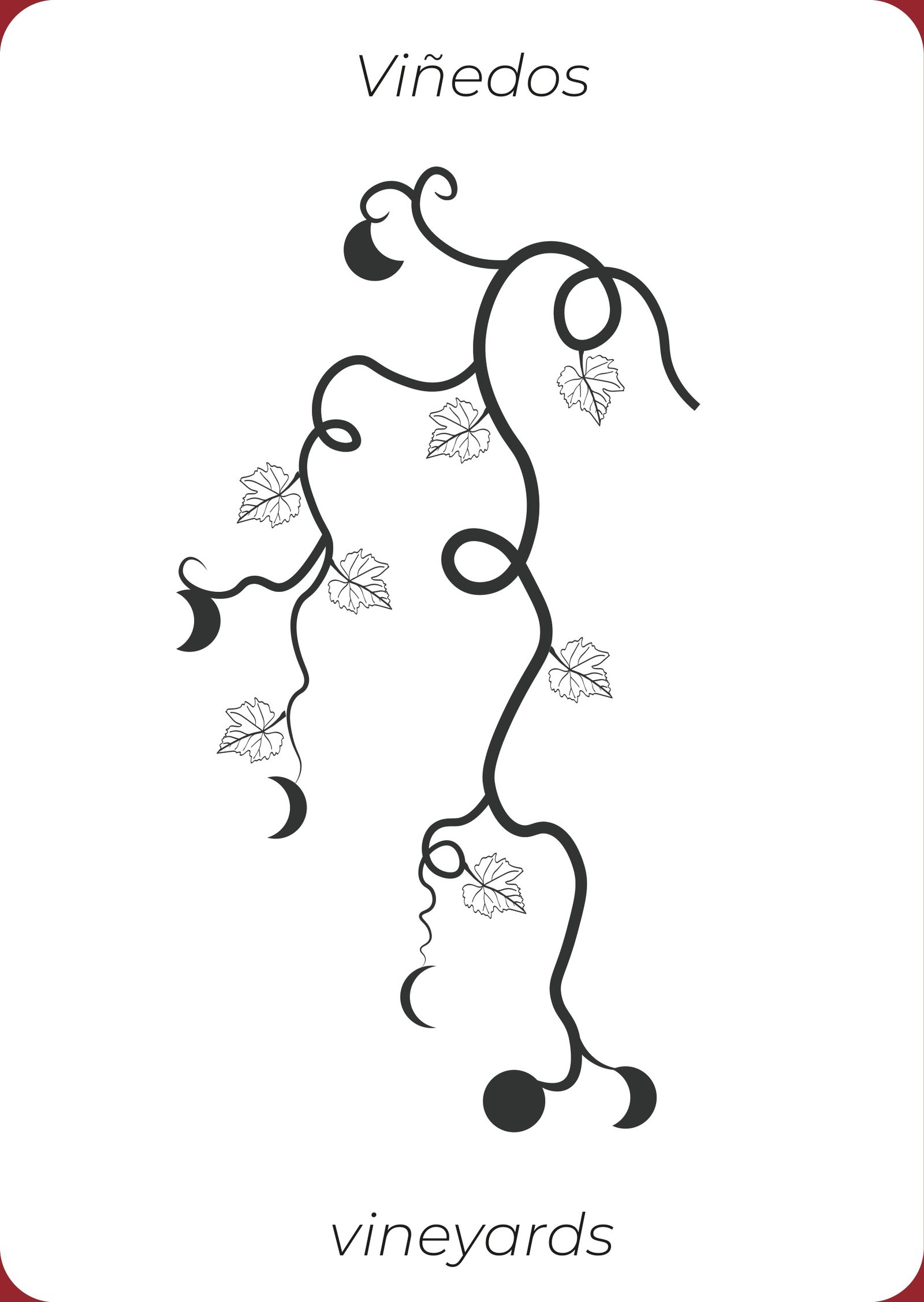 Cavas de Lunas — Vineyards: the grapes hang in the shape of the lunar cycles, linking growth with time and with the foundation of wine.