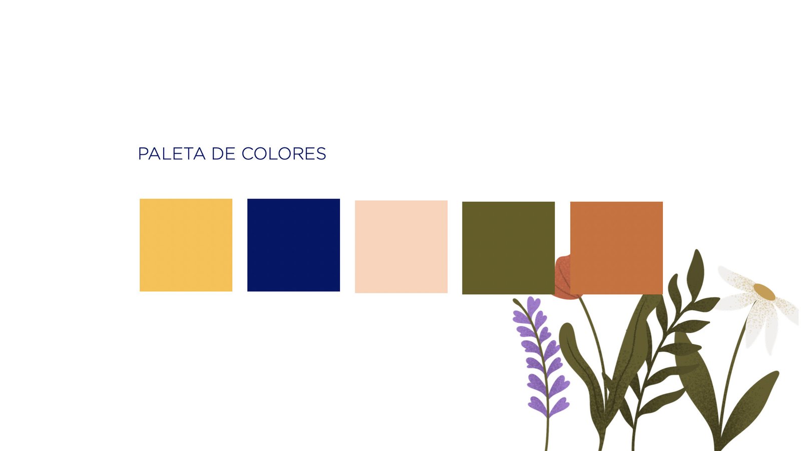 L'Occitane, Follow the Route — piece 3